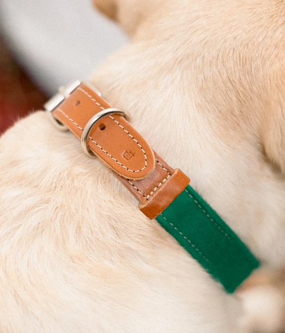 Collar