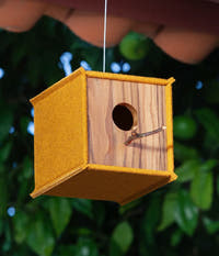 Burel Birdhouse Walnut