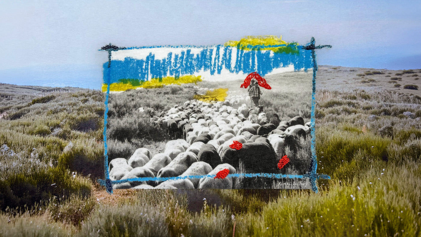 Transhumance T-shirt