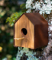 Iron House Walnut
