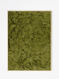 Bosque Panel
