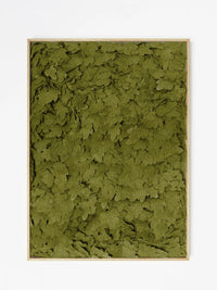 Bosque Panel