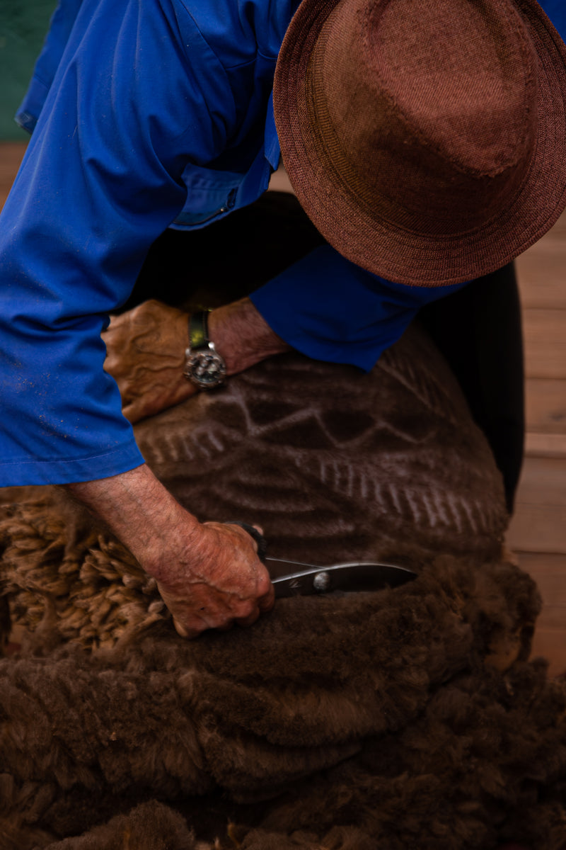 Shearing Diaries