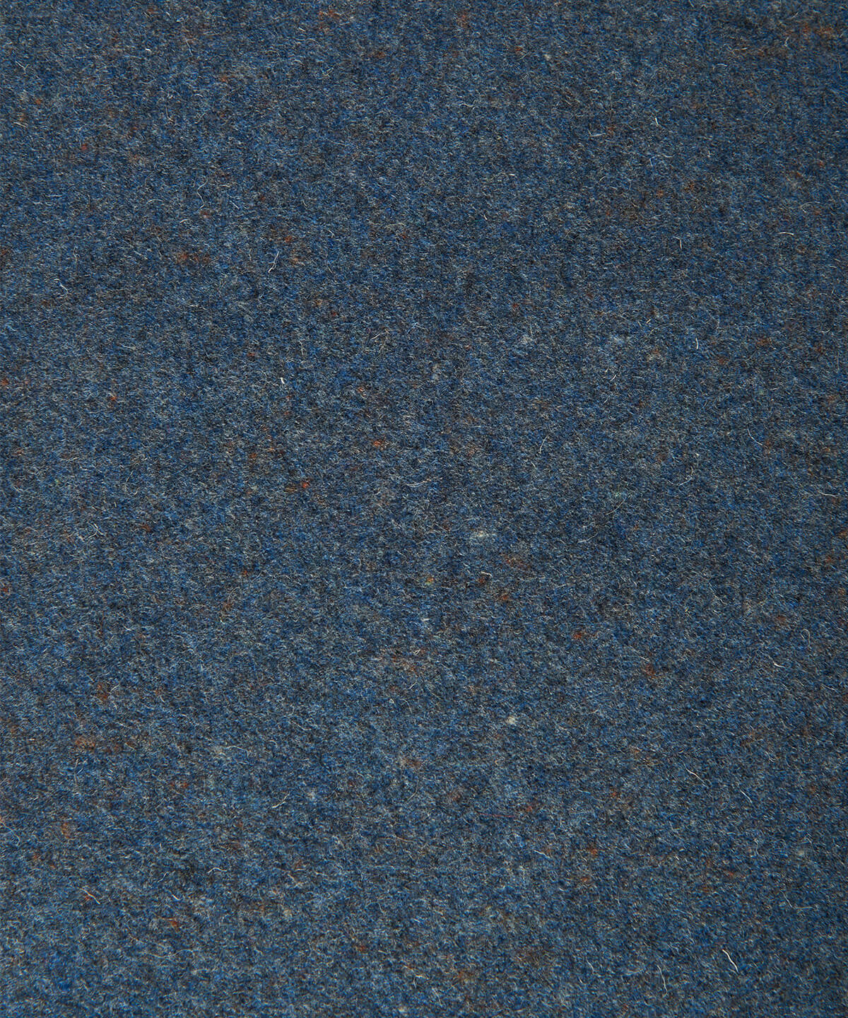 Blue Raisa