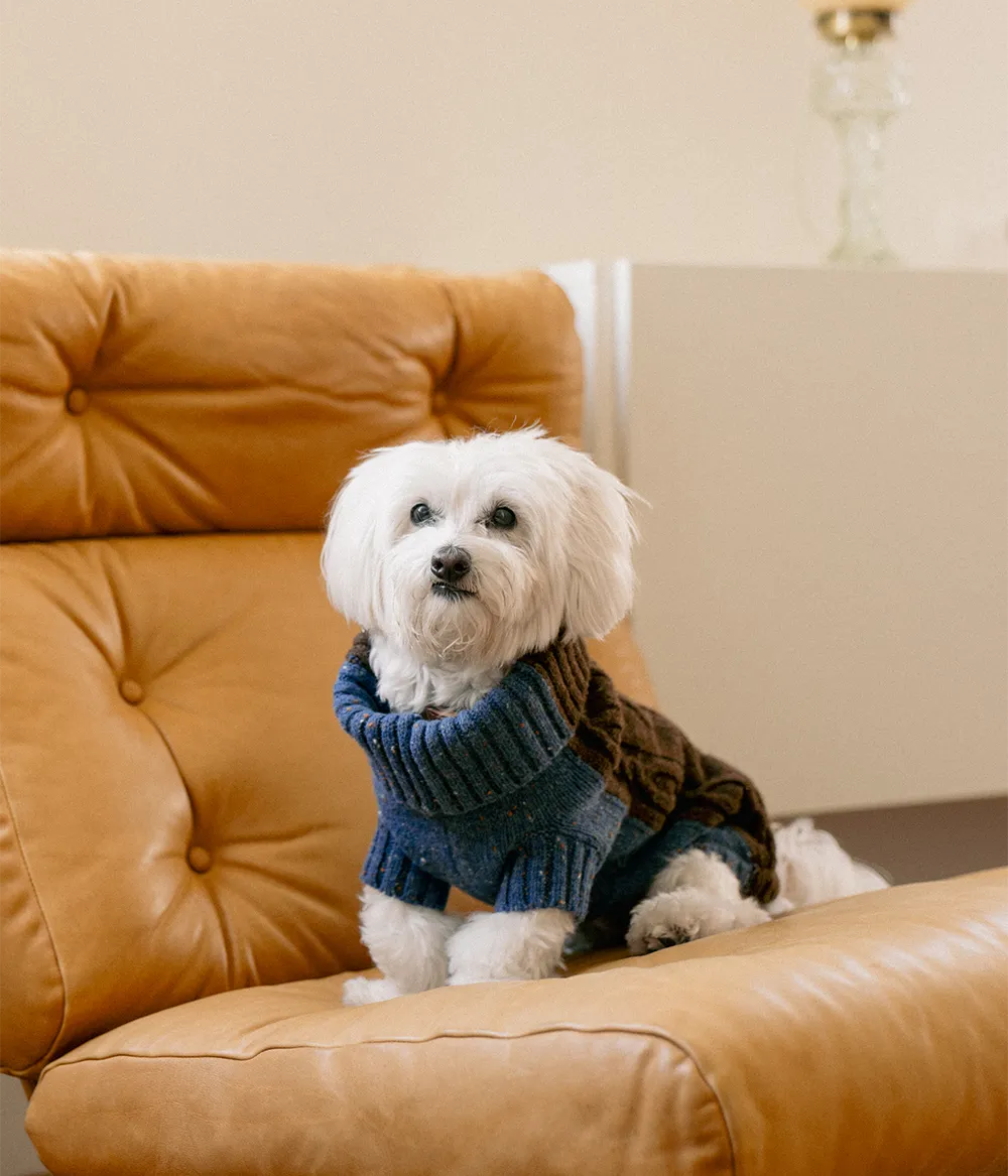 Pet Two-Tone Jumper 