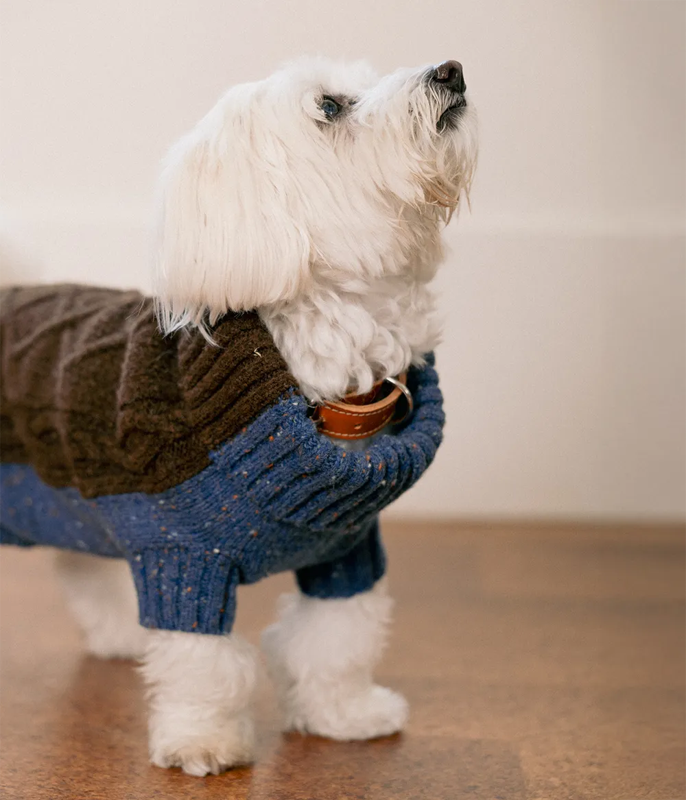 Pet Two-Tone Jumper 