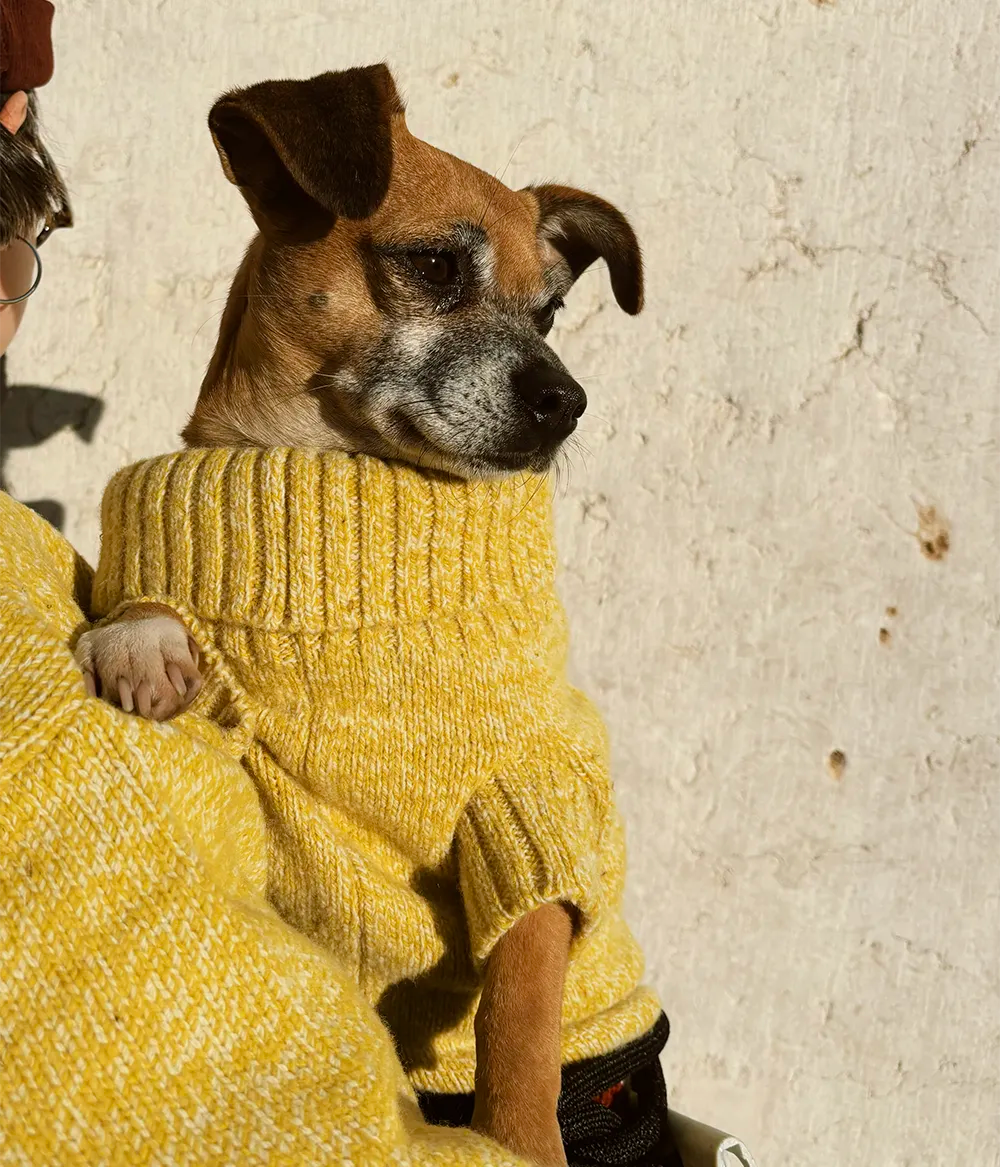 Pet Rib-Pullover