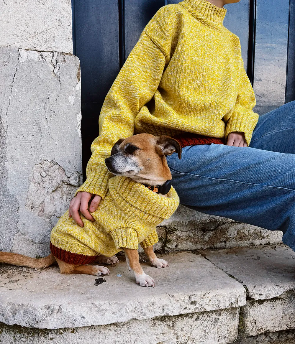 Pet Rib Jumper 