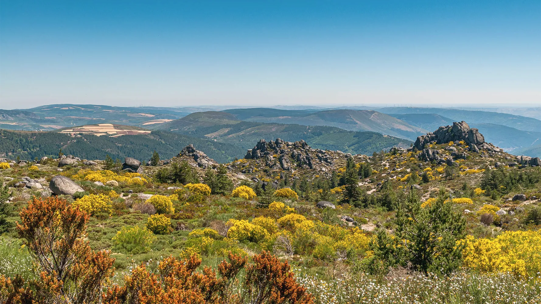 Spring Wall Art Collection