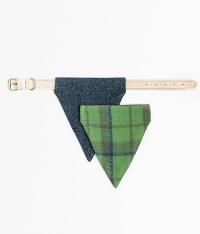 Collar with Bandana