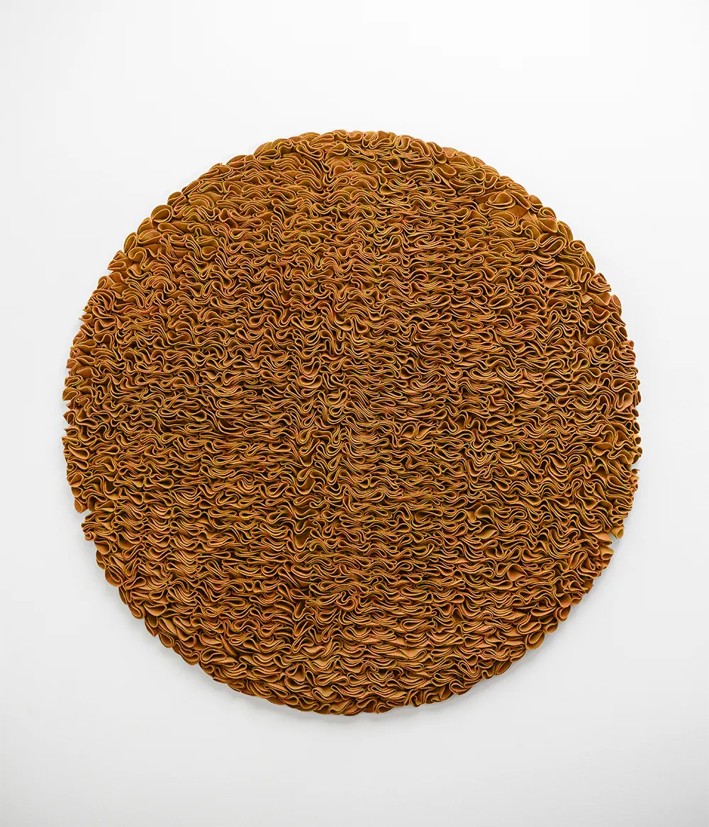 Panel de volante circular