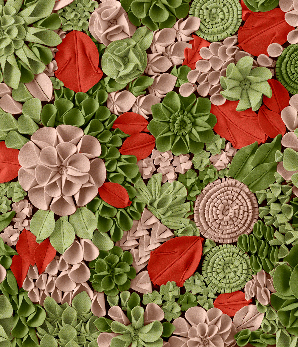 papoila