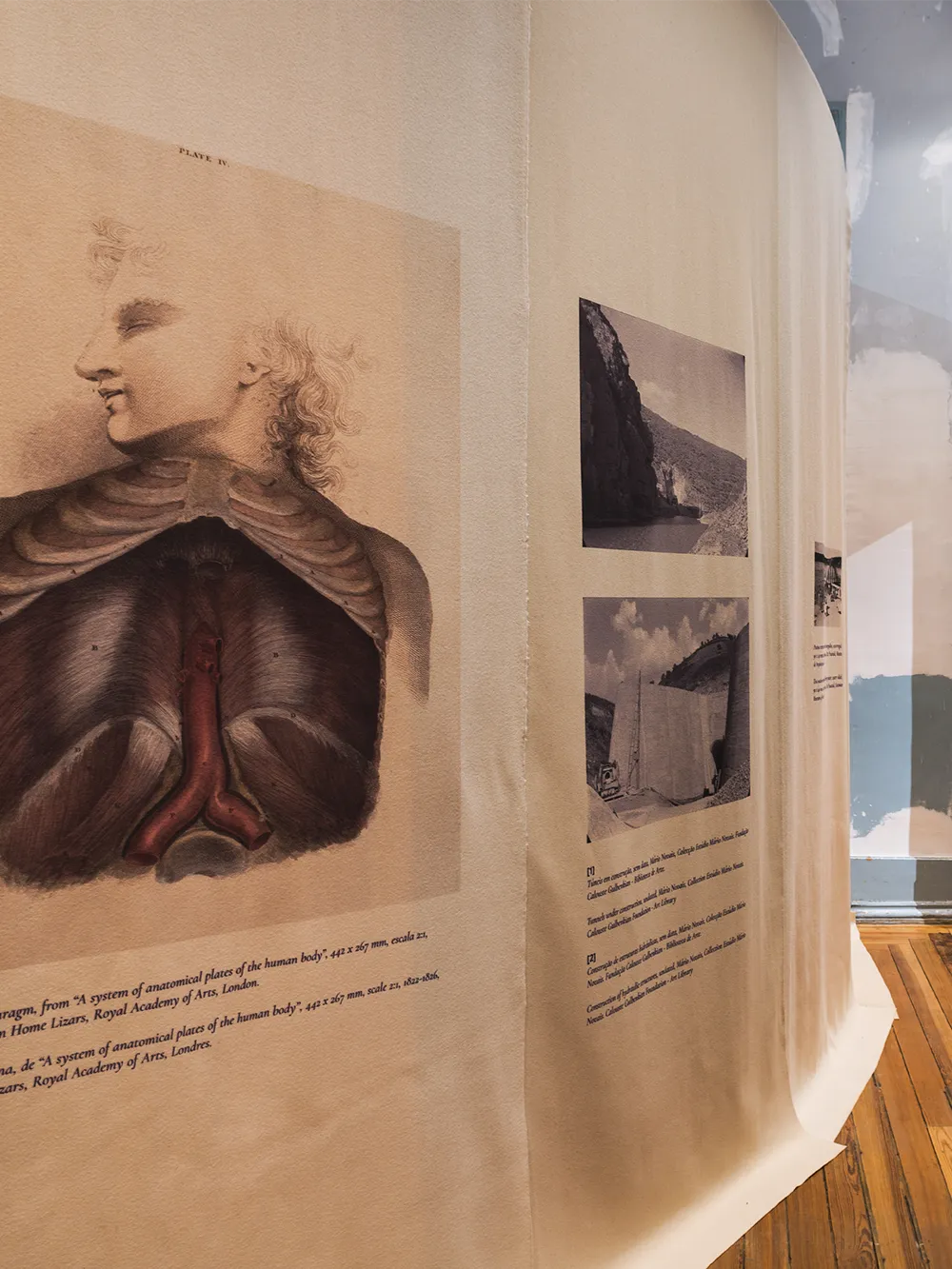 Chronic Conditions: Body and Building
