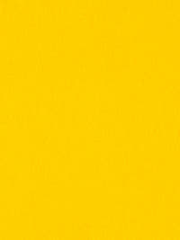 burel-wool-fabric-canary-yellow-made-in-portugal