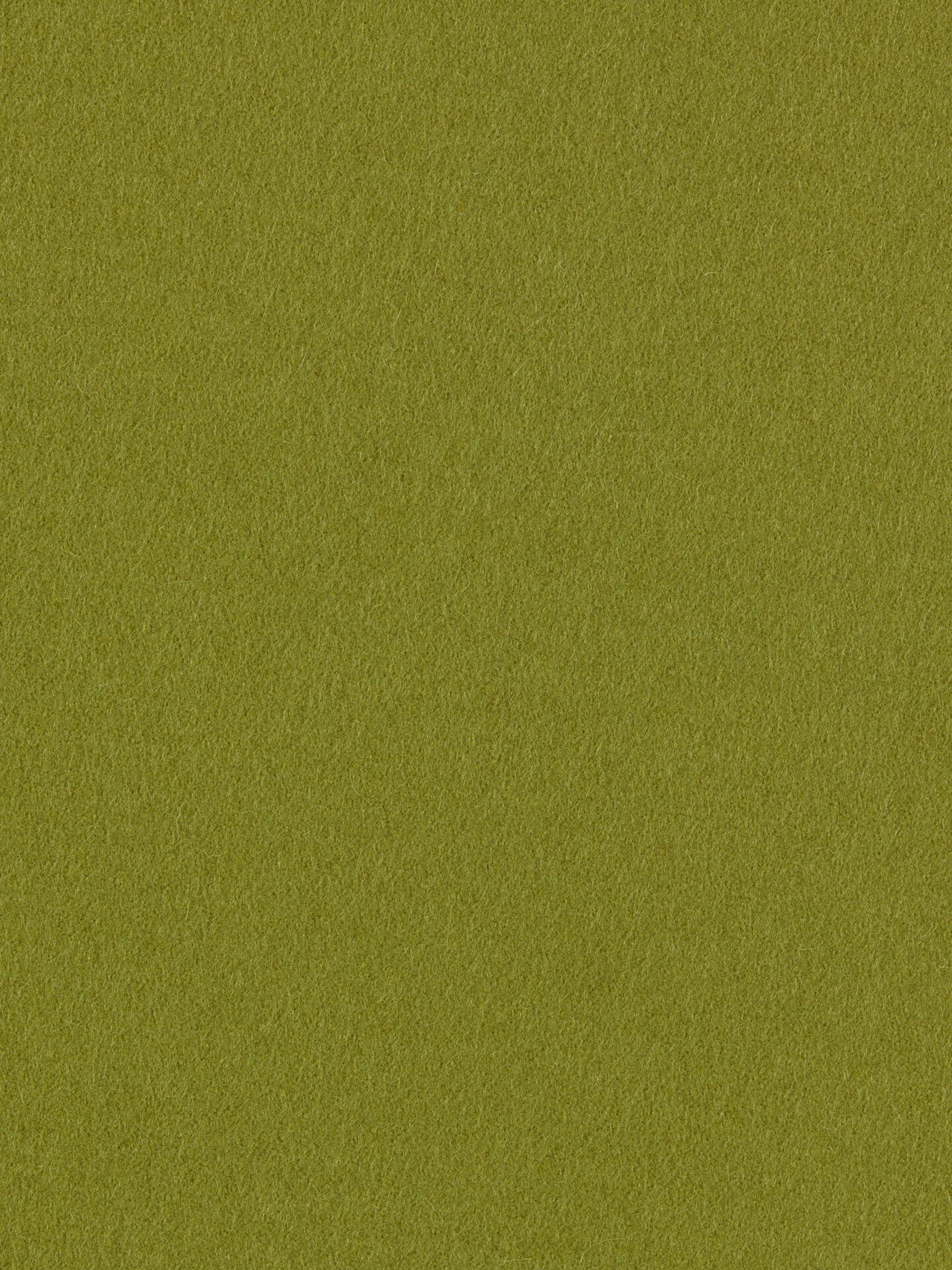 burel-wool-fabric-light-khaki-made-in-portugal