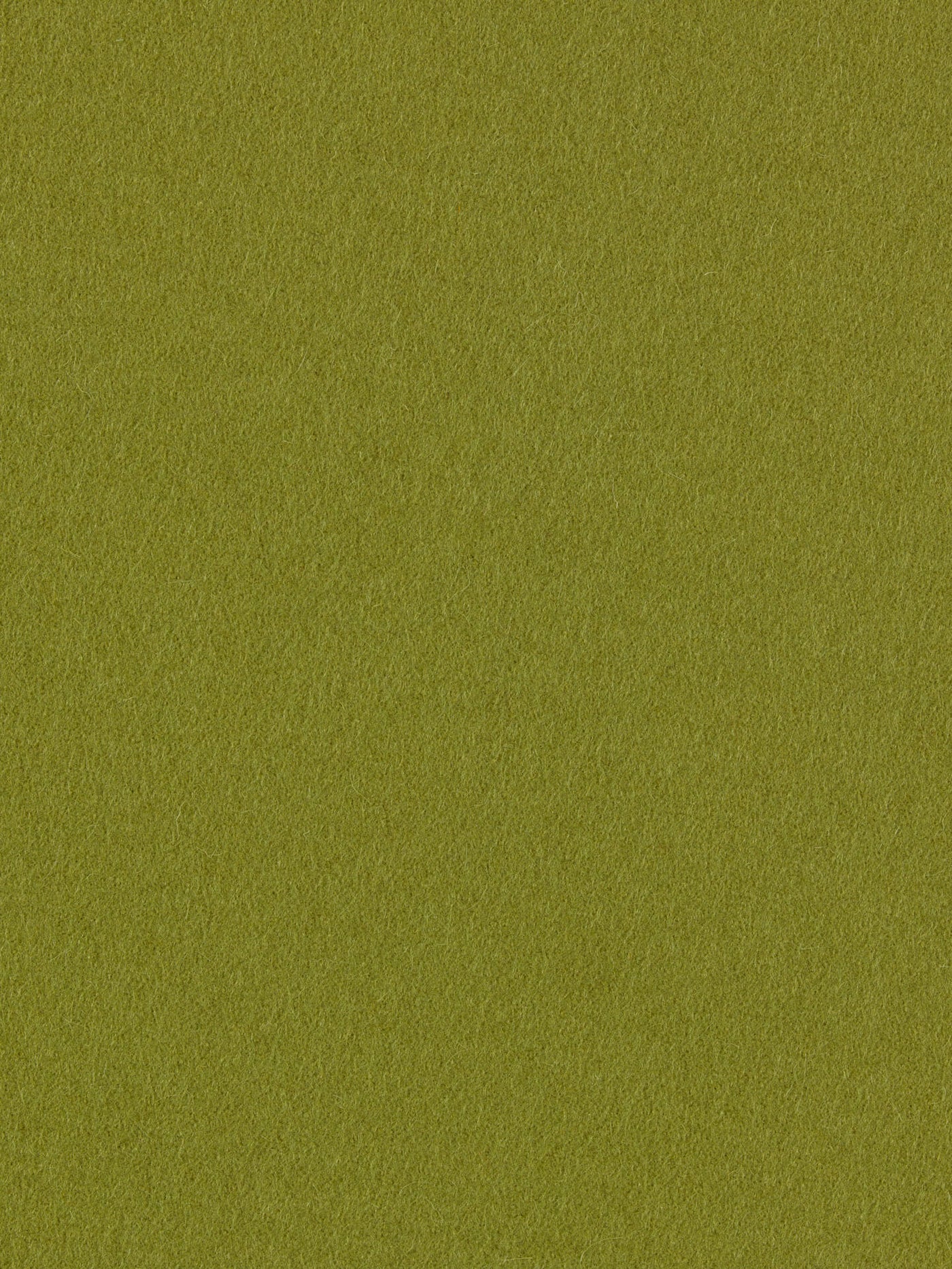 burel-wool-fabric-light-khaki-made-in-portugal
