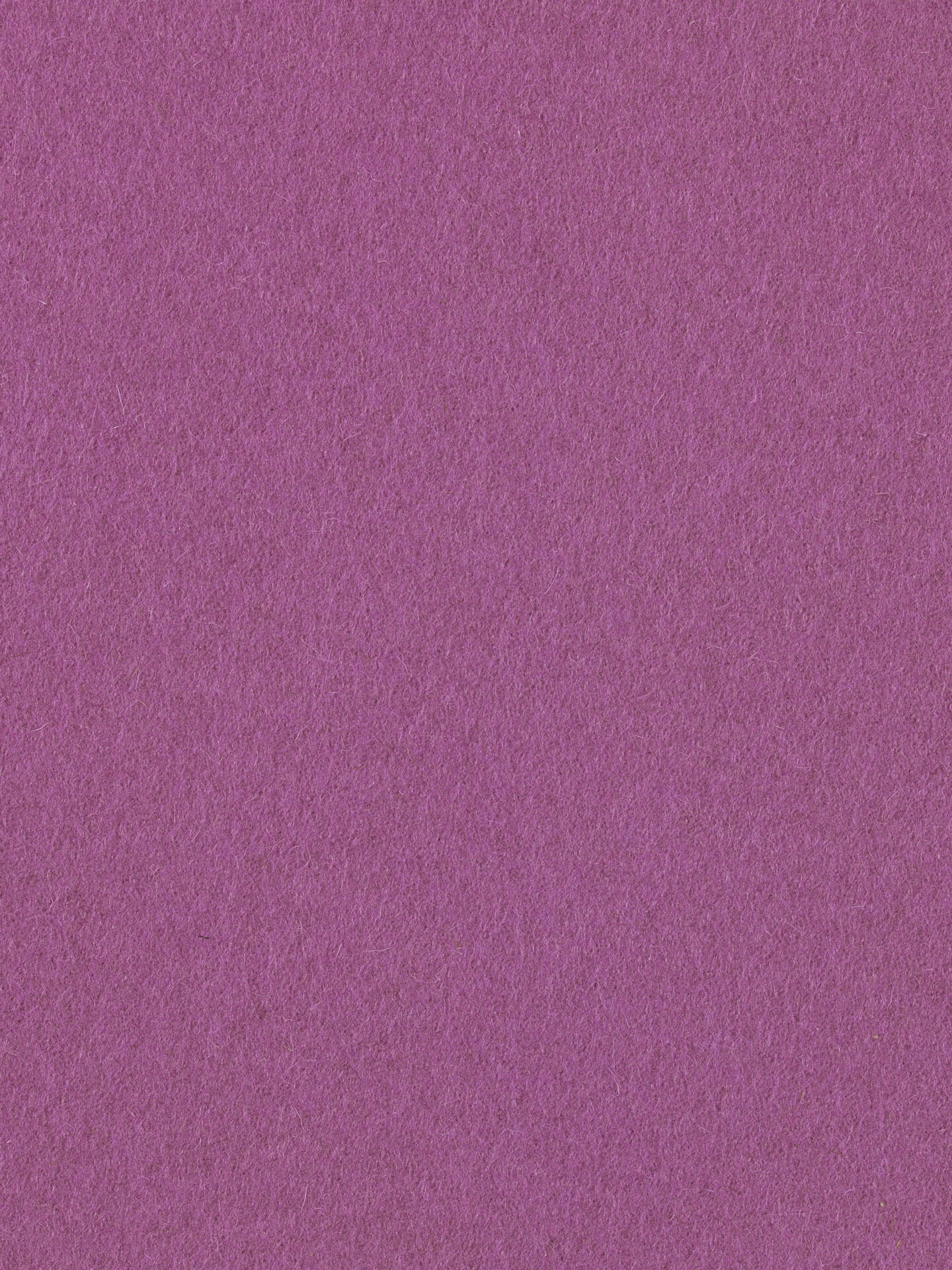 Púrpura Claro