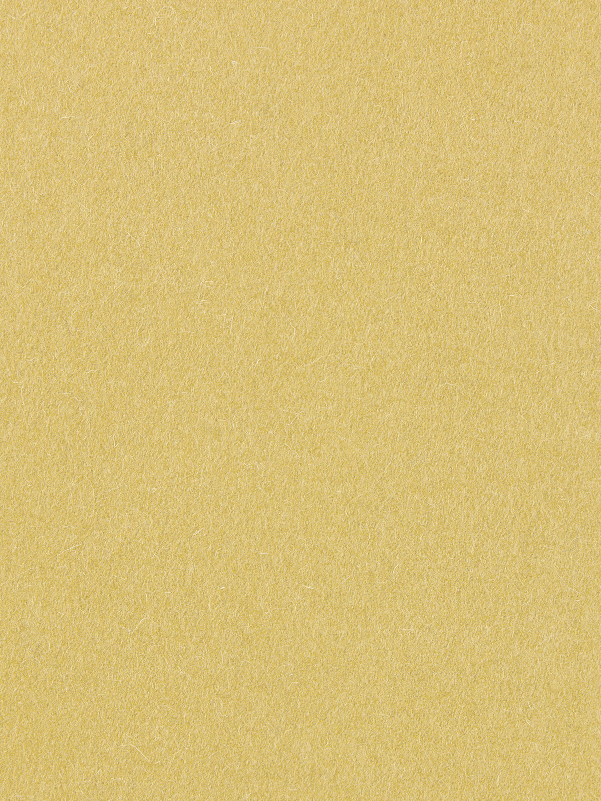 burel-wool-fabric-wheat-yellow-made-in-portugal