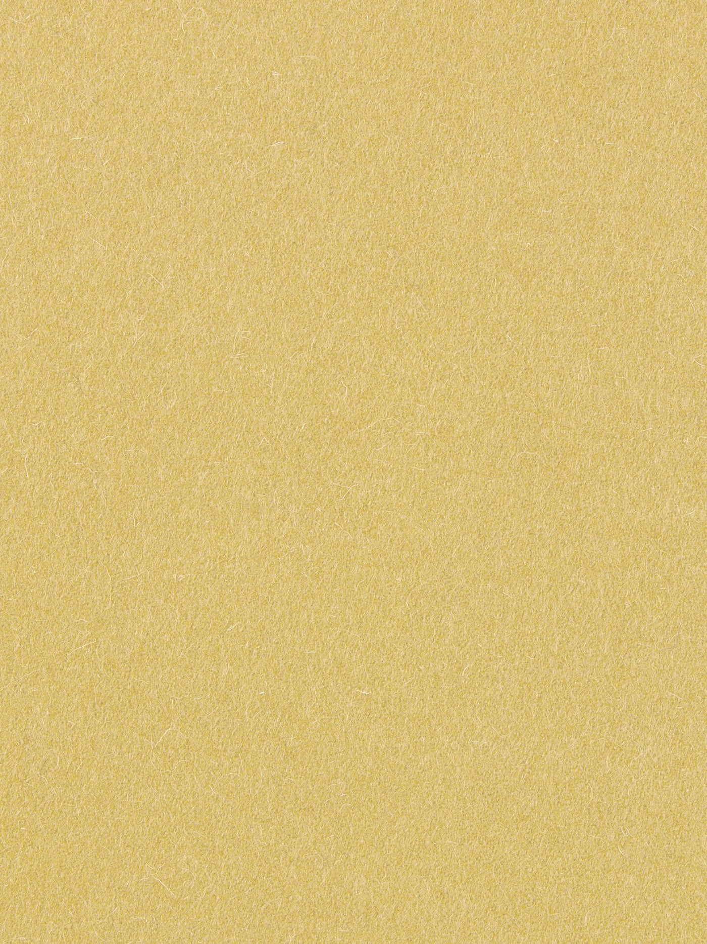 burel-wool-fabric-wheat-yellow-made-in-portugal