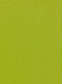 burel-wool-fabric-light-green-made-in-portugal