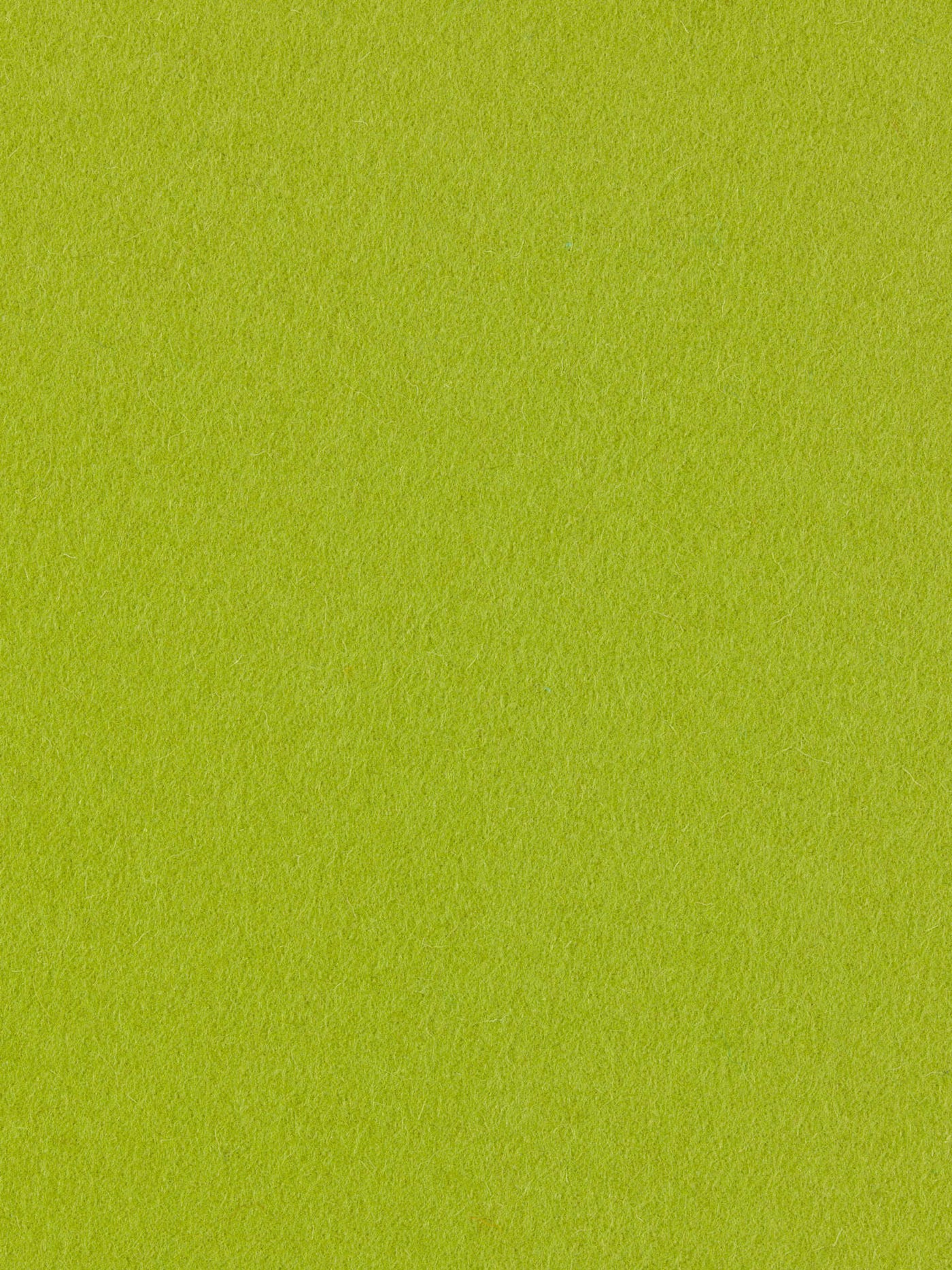 burel-wool-fabric-light-green-made-in-portugal