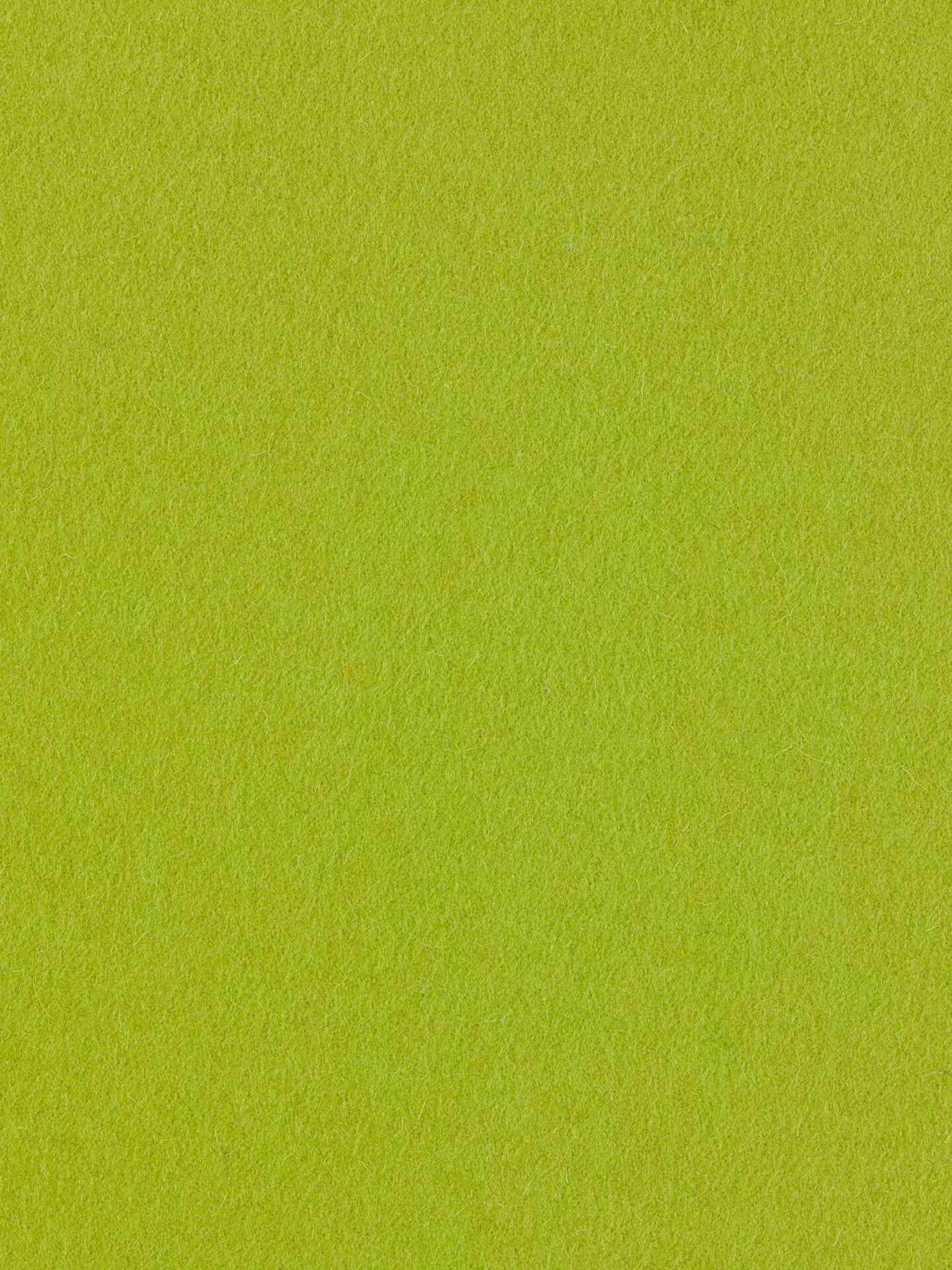 burel-wool-fabric-light-green-made-in-portugal