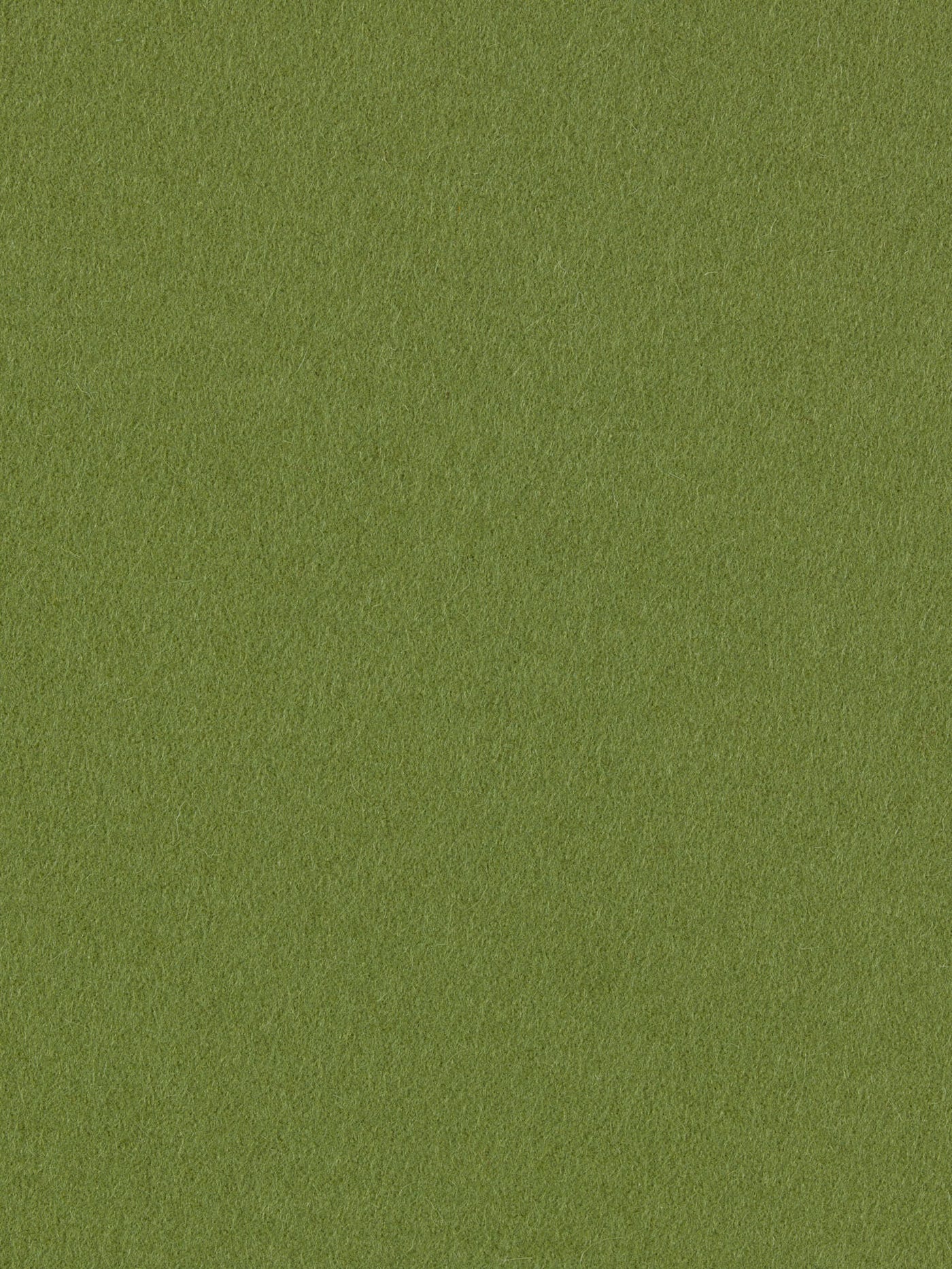 burel-wool-fabric-clorophyll-green-made-in-portugal