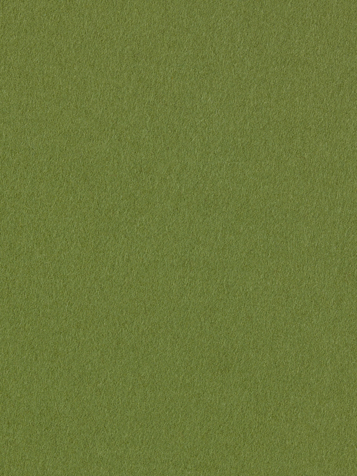 burel-wool-fabric-clorophyll-green-made-in-portugal